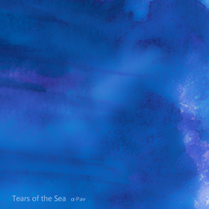 一字马扣出水来H
